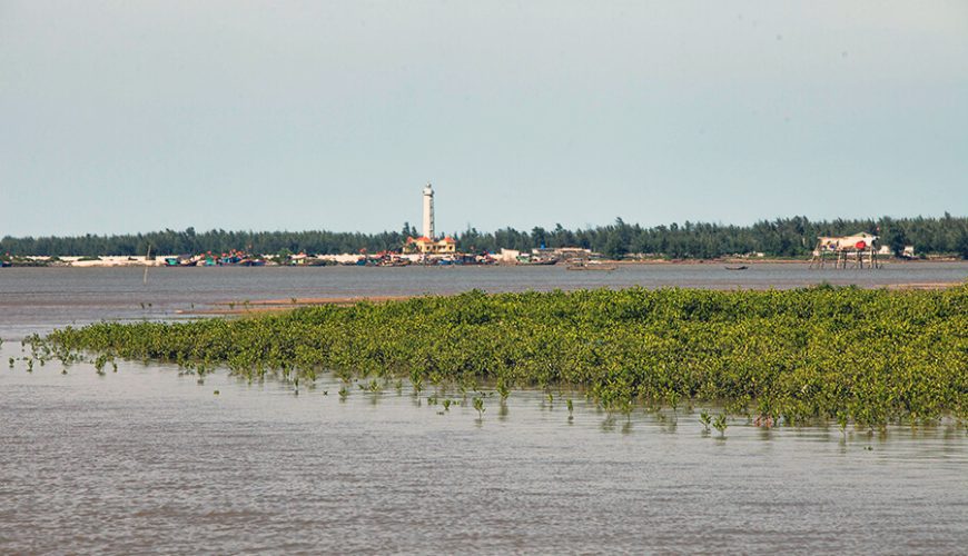 Xuan Thuy National Park