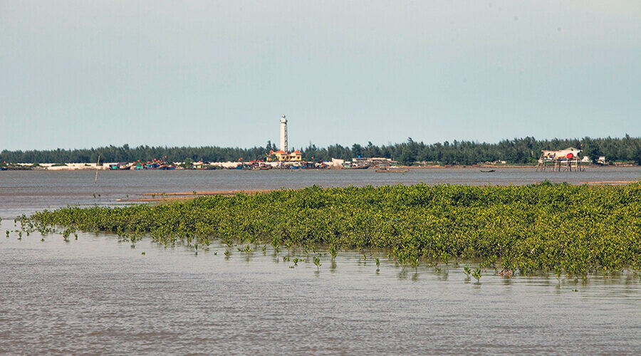 Xuan Thuy National Park