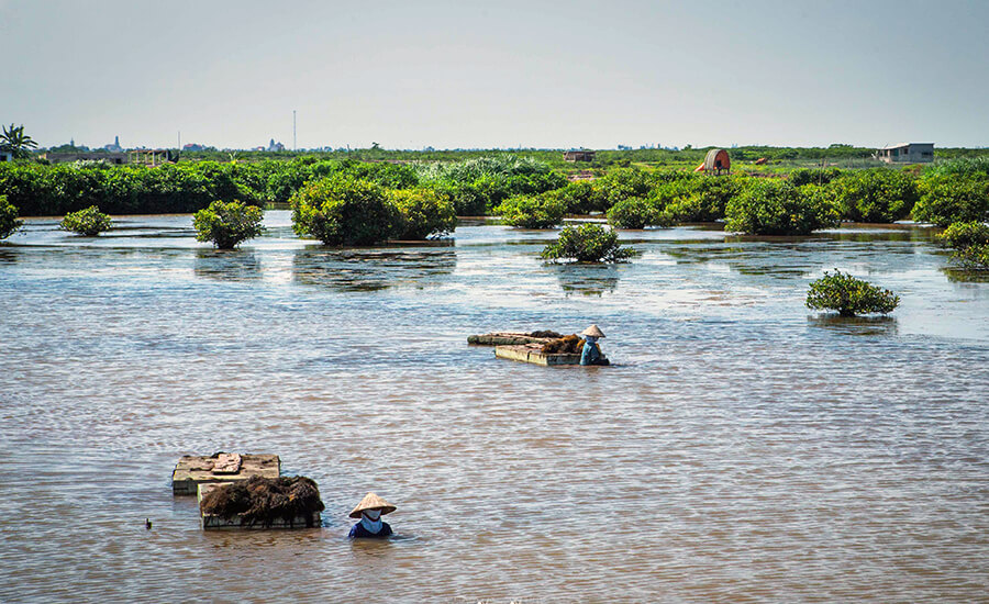 Xuan Thuy National Park