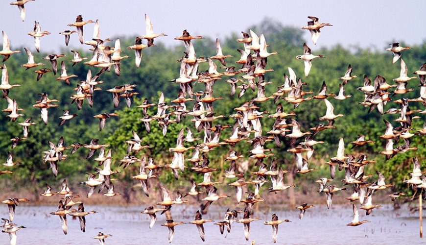 Xuan Thuy National Park