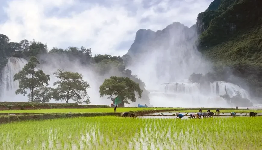 Ban Gioc Fall