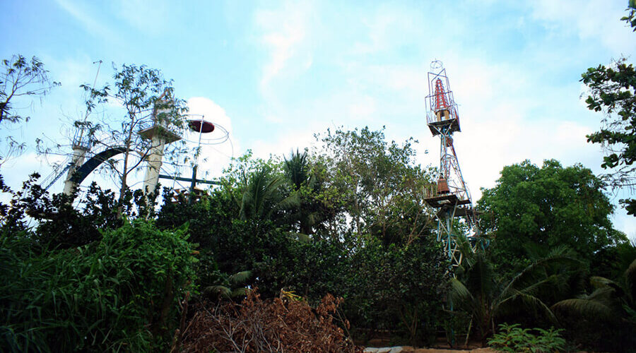 Coconut religion in Ben Tre