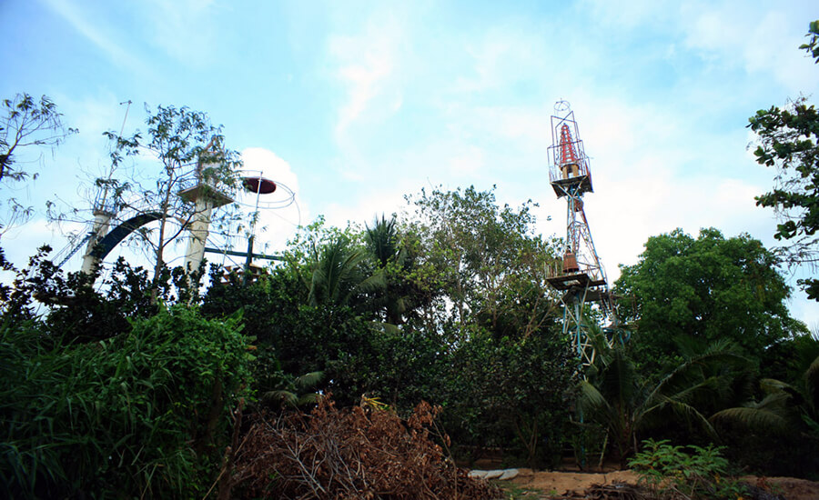 Coconut religion in Ben Tre