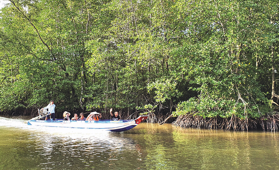 Rung Duoc (Mangrove Forest) Ecotourism Area
