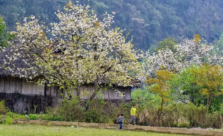 best time to visit Cao Bang