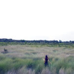 explore Long An