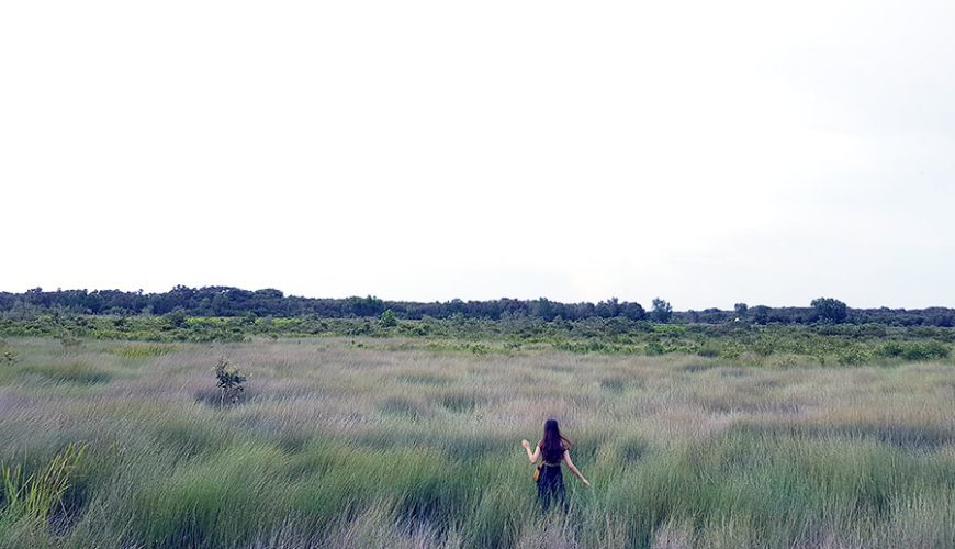 explore Long An