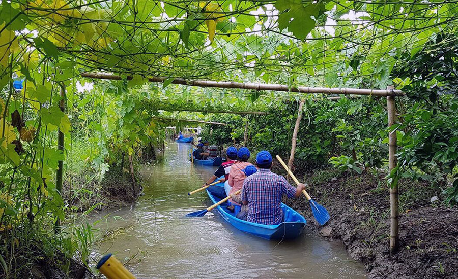 Phong Dien fruit gardens