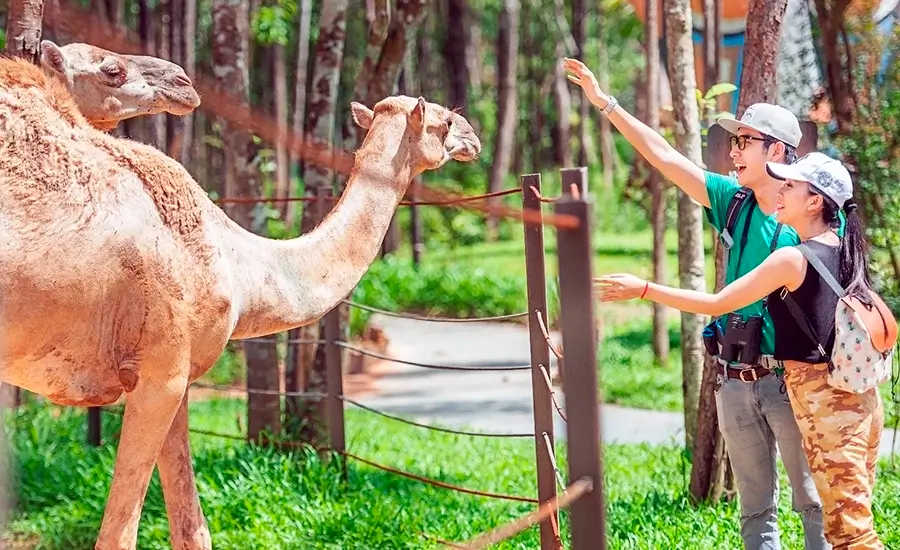 Vinpearl Safari Phu Quoc