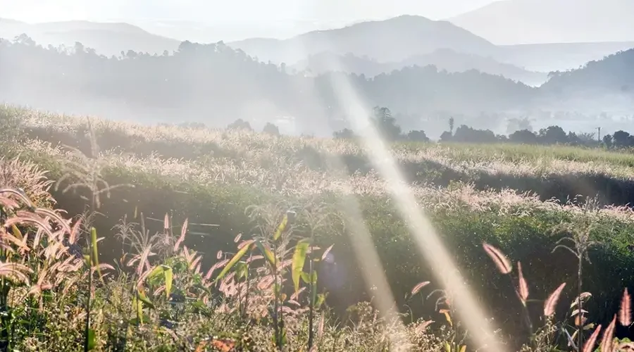 Fascinated by the wild beauty of Chu Dang Ya volcano