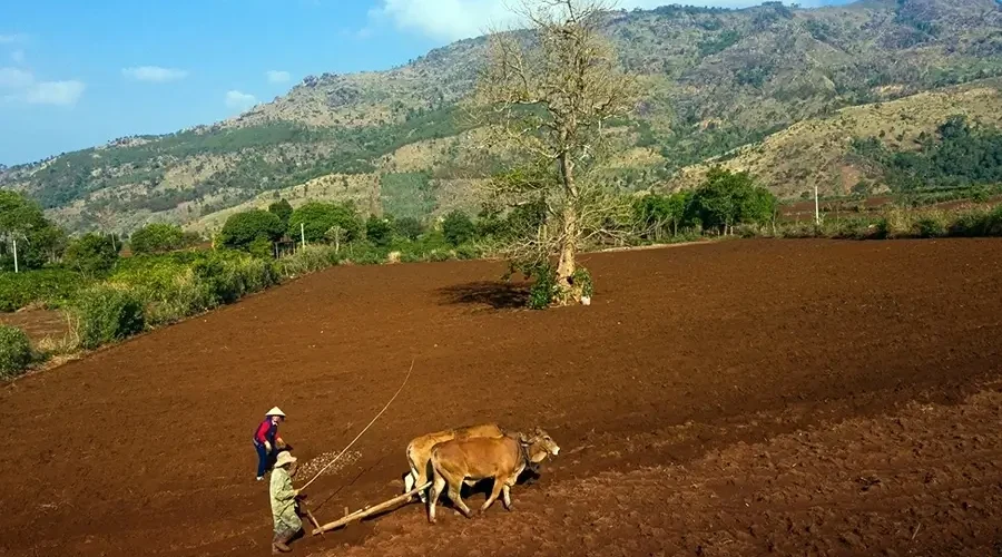 Fascinated by the wild beauty of Chu Dang Ya volcano