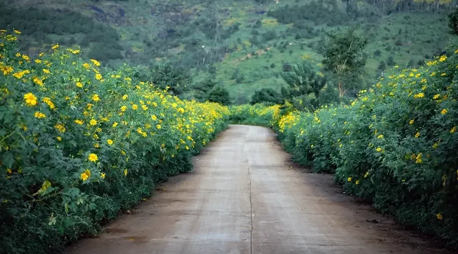 Fascinated by the wild beauty of Chu Dang Ya volcano