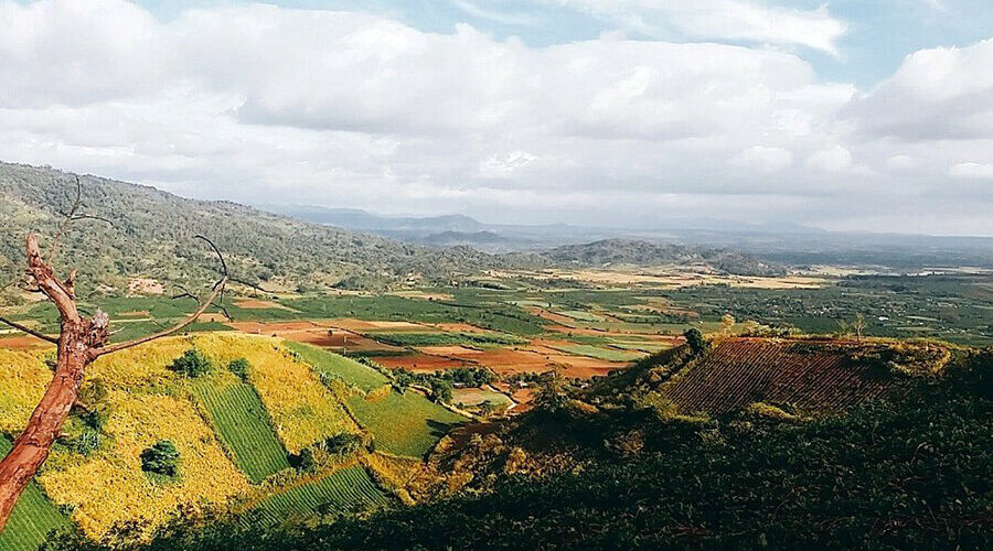 Fascinated by the wild beauty of Chu Dang Ya volcano