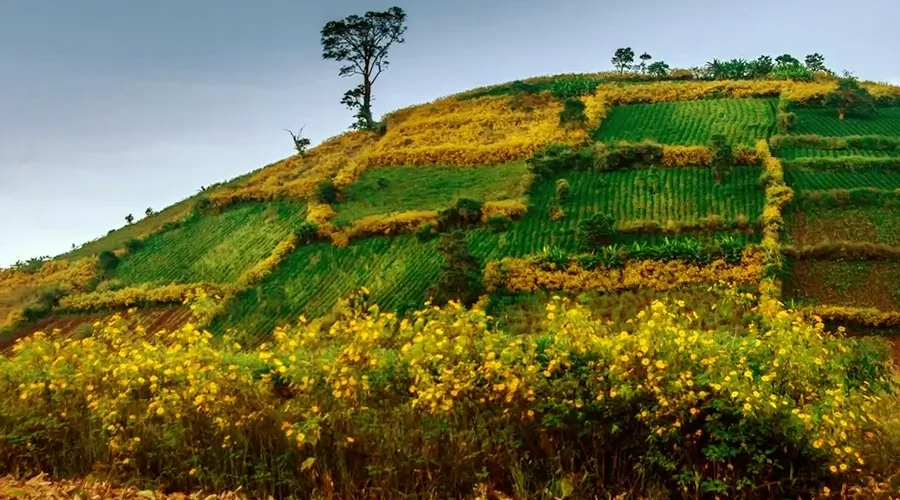 Fascinated by the wild beauty of Chu Dang Ya volcano