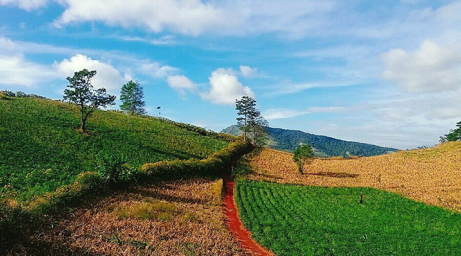 Fascinated by the wild beauty of Chu Dang Ya volcano