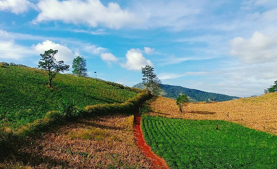 Fascinated by the wild beauty of Chu Dang Ya volcano