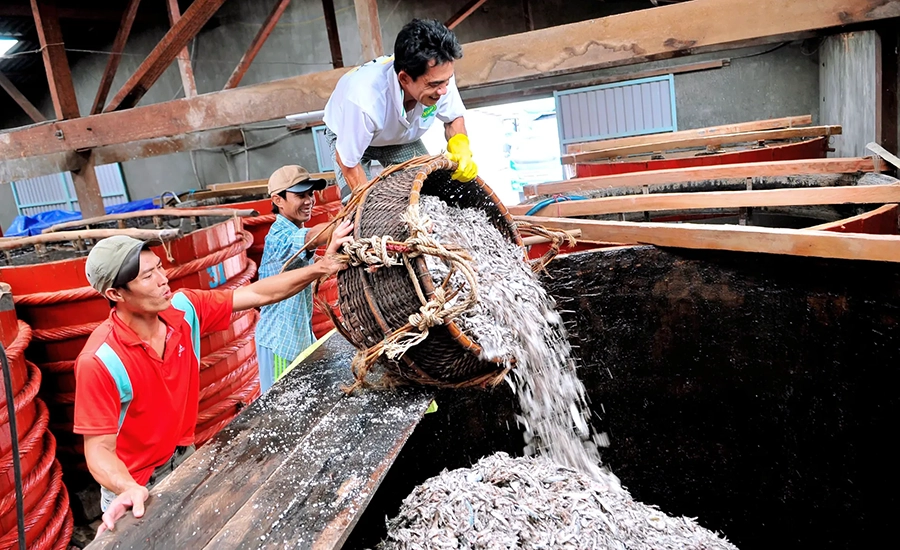 fish sauce factory