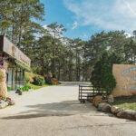Long Dinh Tea Museum