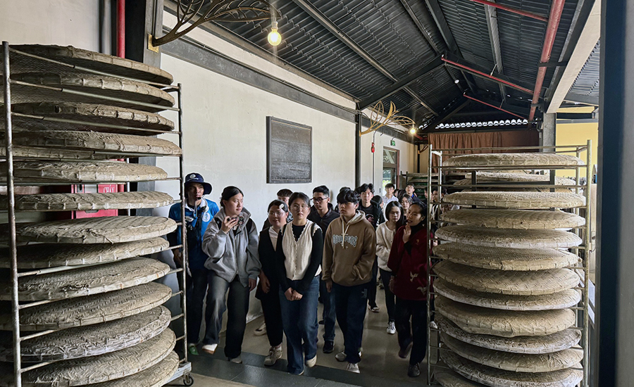 Long Dinh tea Museum