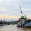 Mekong Delta region on the "cay beo"