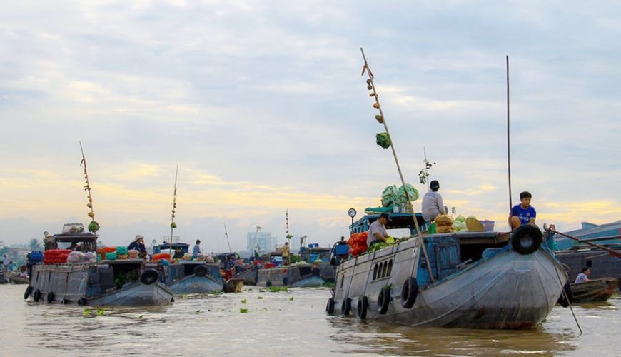 Mekong Delta region on the "cay beo"