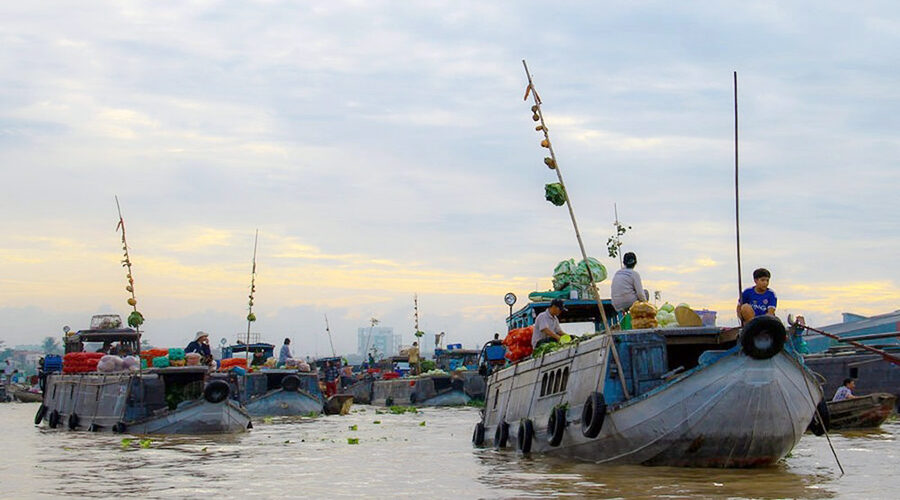 Mekong Delta region on the "cay beo"