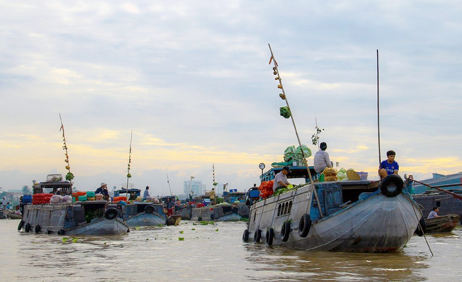 Mekong Delta region on the "cay beo"