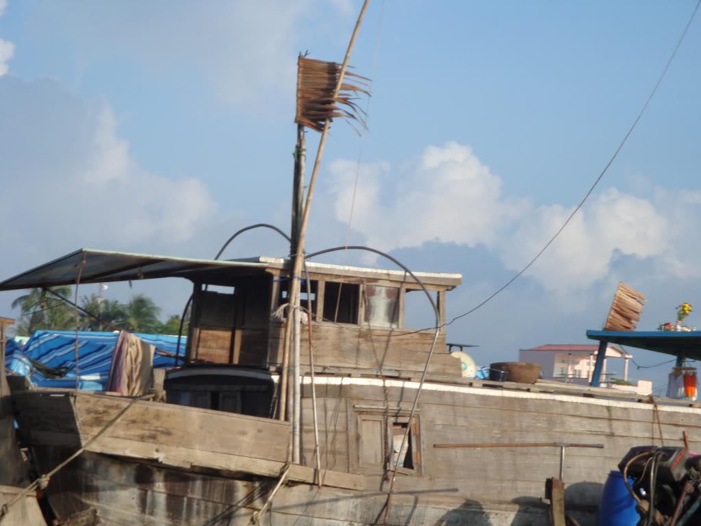 Mekong Delta region on the "cay beo"