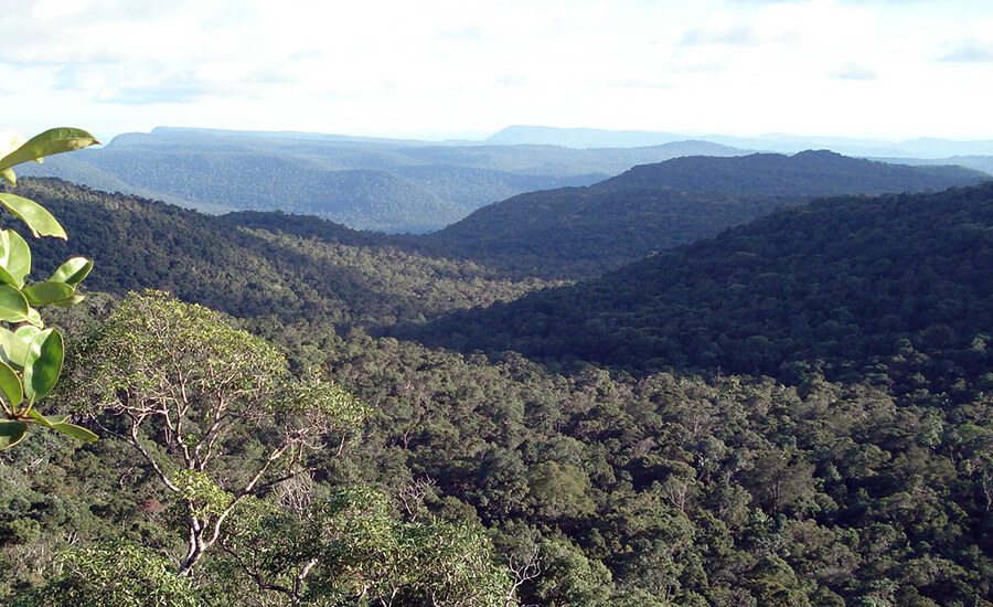Phu Quoc National Park