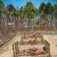 tiger case in Phu Quoc Prison