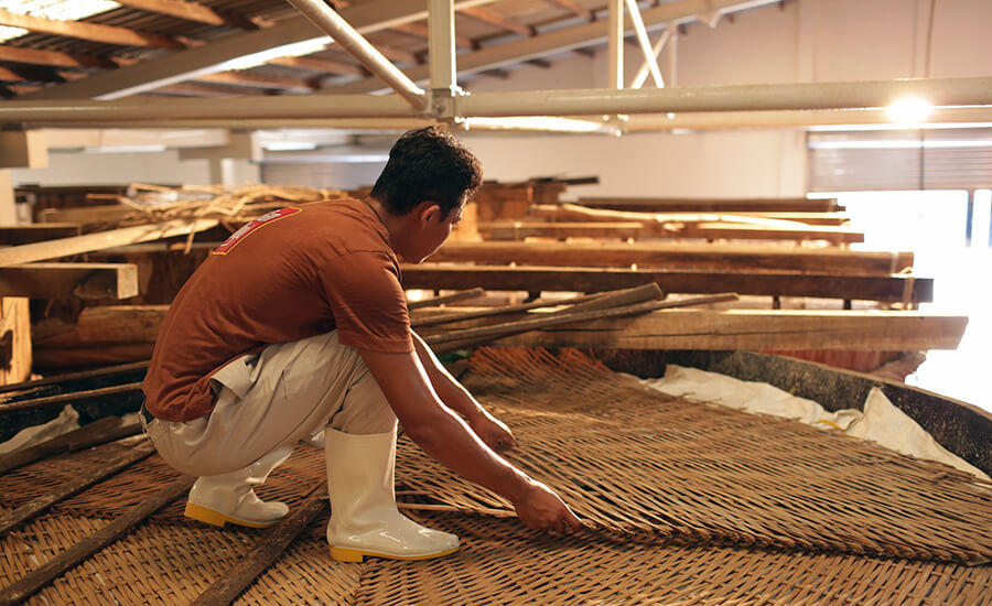 Admire the beauty of fish sauce factories on the largest island in Vietnam