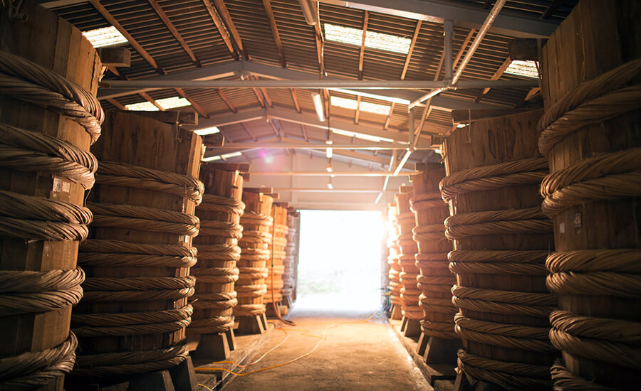Admire the beauty of fish sauce factories on the largest island in Vietnam