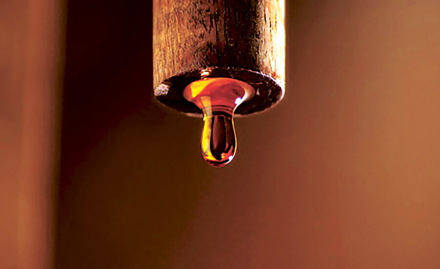 Admire the beauty of fish sauce factories on the largest island in Vietnam