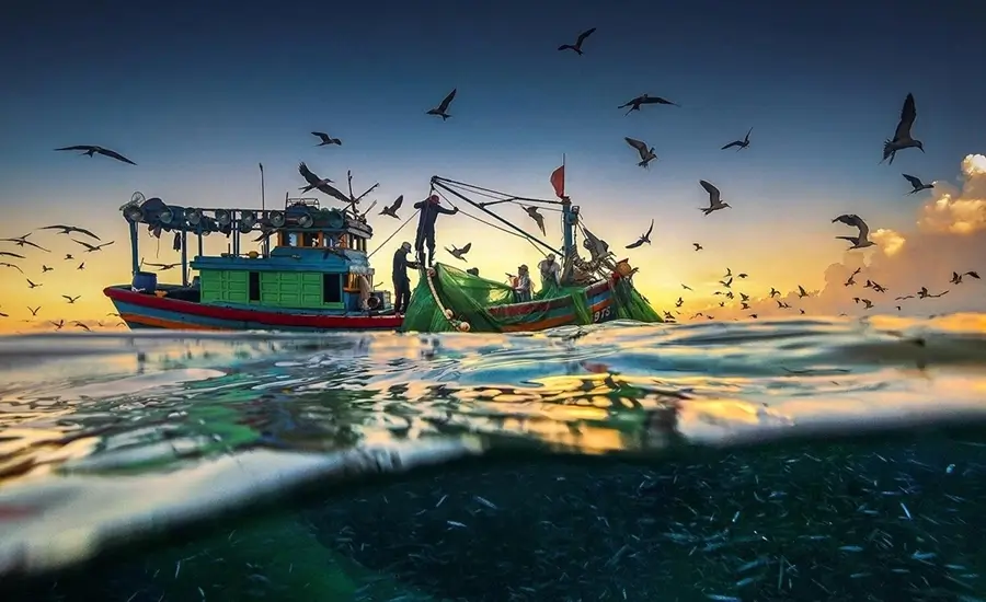 Admire the beauty of fish sauce factories on the largest island in Vietnam