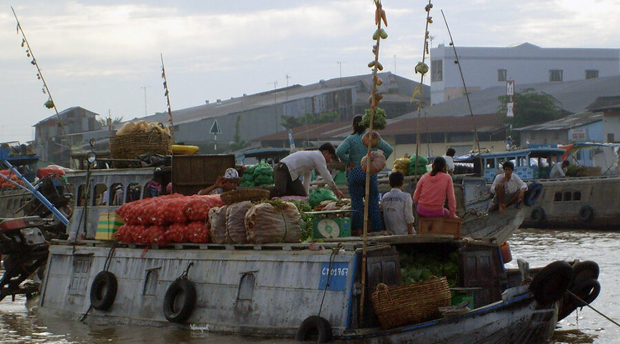 Mekong Delta region on the "cay beo"