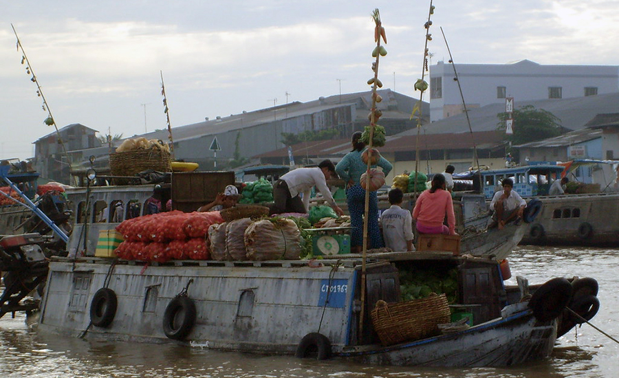 Mekong Delta region on the "cay beo"