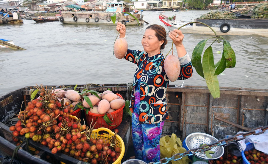 Mekong Delta region on the "cay beo"