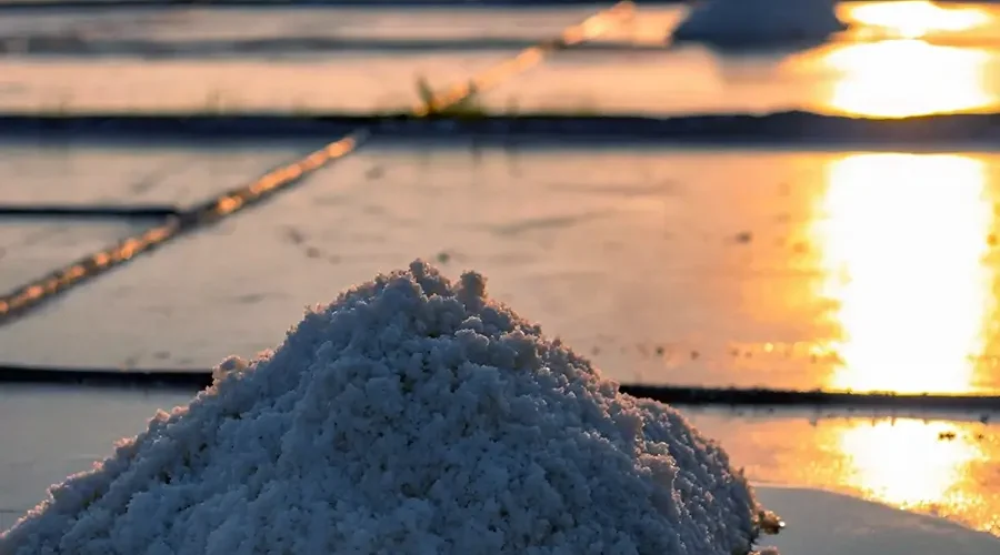Bac Lieu salt fields