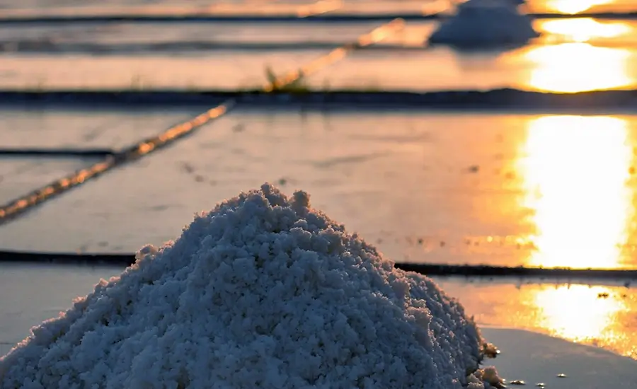 Bac Lieu salt fields