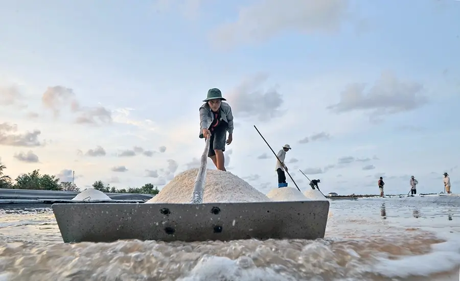 Bac Lieu salt fields