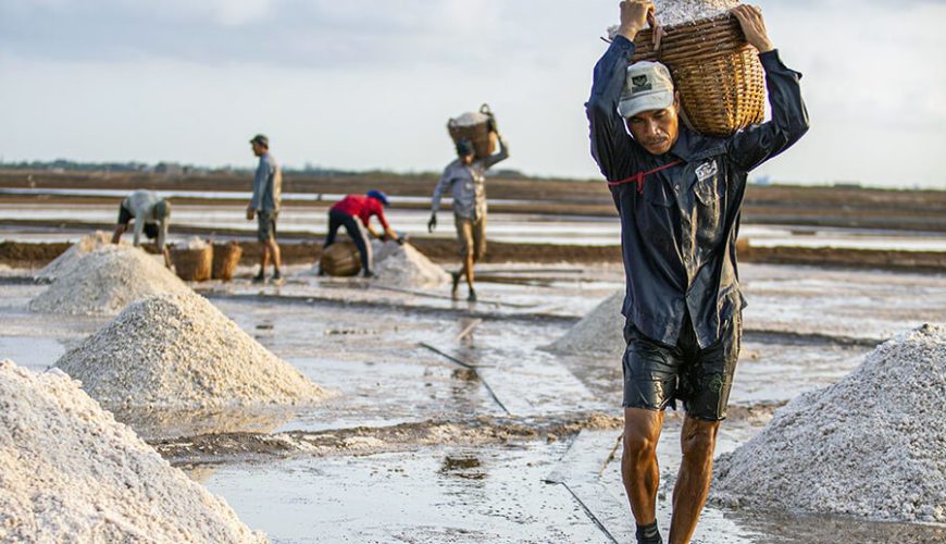 Bac Lieu salt fields