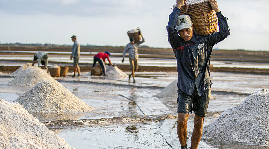 Bac Lieu salt fields