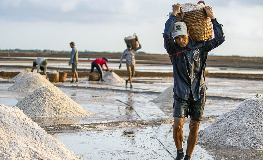 Bac Lieu salt fields