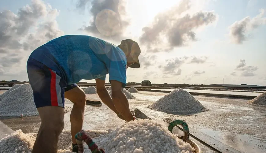 Bac Lieu salt fields