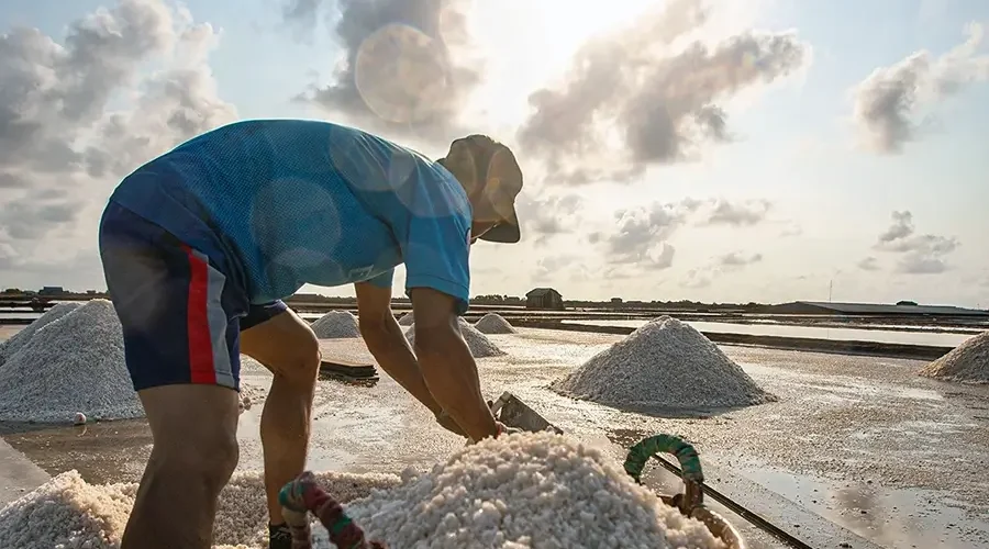 Bac Lieu salt fields