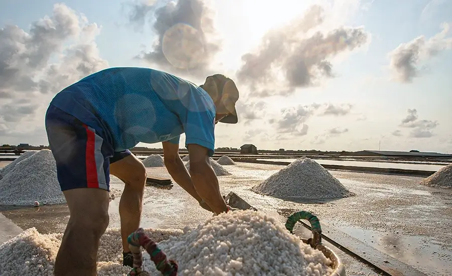 Bac Lieu salt fields