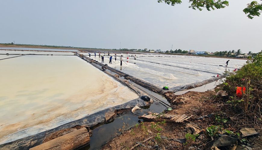 Bac Lieu salt fields