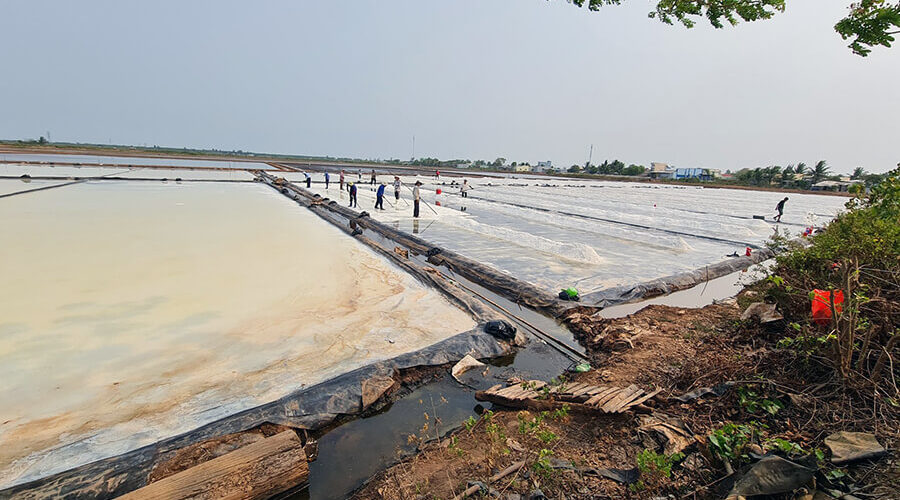 Bac Lieu salt fields
