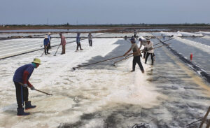 Bac Lieu salt fields