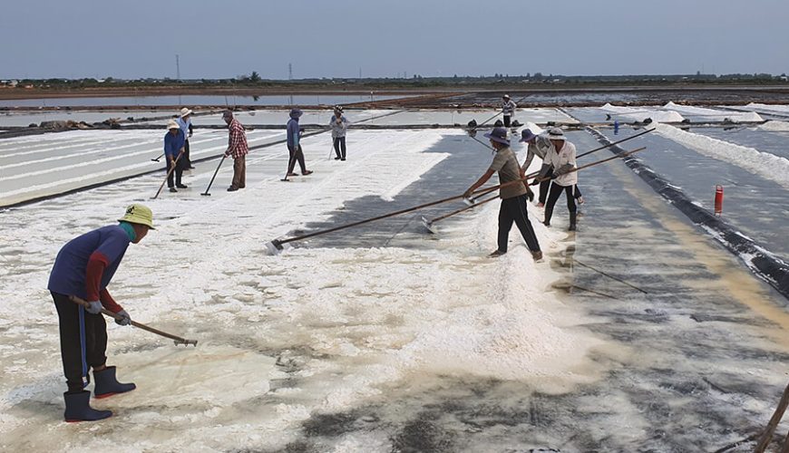 Bac Lieu salt fields
